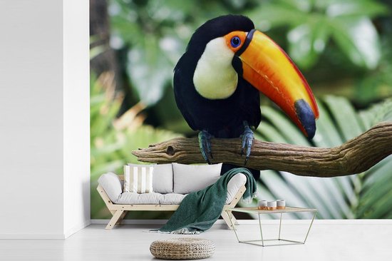 Papier peint Papier peint photo en vinyle - Toucan dans un zoo de New York largeur 330 cm x hauteur 240 cm - Tirage photo sur papier peint (disponible en 7 tailles)