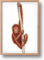 Poster aap - A4 - mooi dik papier - Snel verzonden! - tropisch - jungle - dieren in aquarel - geschilderd door Mies