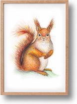 Poster eekhoorn - A4 - mooi dik papier - Snel verzonden! - bosdieren - dieren in aquarel - geschilderd door Mies
