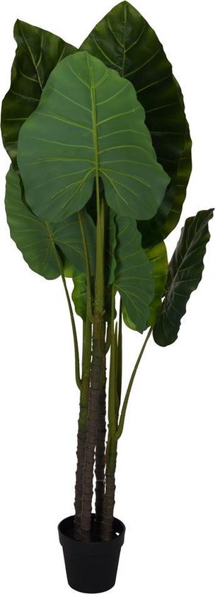 Kunstplant - Monstra - 175 cm