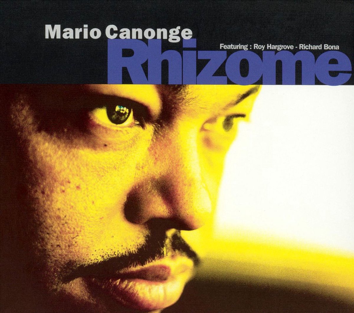 Rhizome