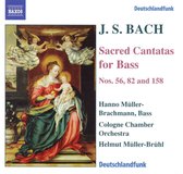 Cologne Co - Cantatas (CD)