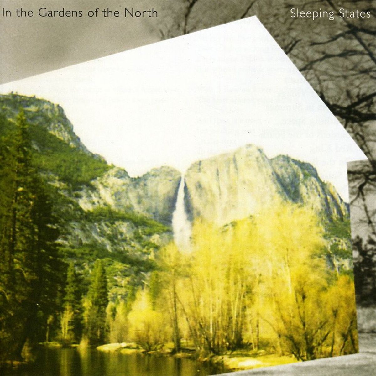 In The Garden Of The North