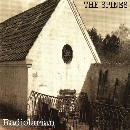 Foto: Radiolarian