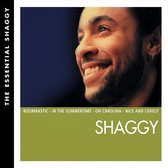 Essential Shaggy