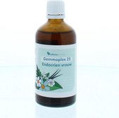 Balance Pharma Gemmoplex Hgp023 Endocrien Vrouw - 100 ml