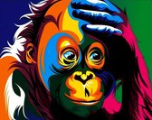 Schilderen op nummer volwassenen, schilderen op nummer kinderen, gekleurde aap 40x50