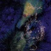 Bardo Pond - Under The Pines (LP)