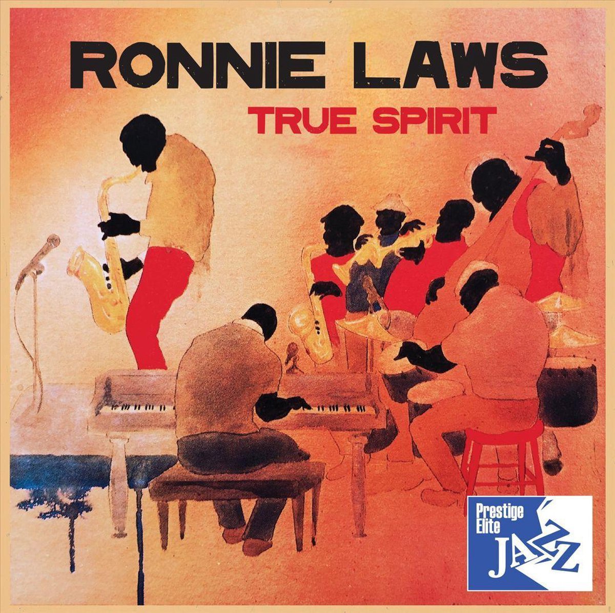 Afbeelding van product True Spirit  - Ronnie Laws