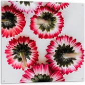Tuinposter – Wit/Roze Bloemetjes Achterkant - 100x100cm Foto op Tuinposter  (wanddecoratie voor buiten en binnen)
