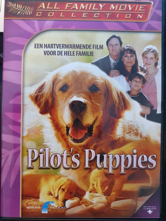 Pilot,s Puppies