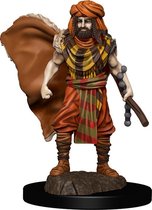 Dungeons and Dragons: Icons of the Realms - Human Druid Male