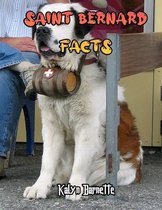 Saint Bernard Facts