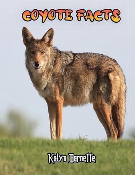 Coyote Facts, Kalyn Barnette | 9798566326559 | Boeken | bol.com