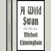 A Wild Swan: And Other Tales