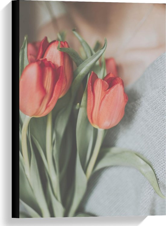 Canvas  - Rode Tulpen op Borst - 40x60cm Foto op Canvas Schilderij (Wanddecoratie op Canvas)