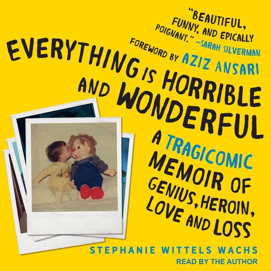 Everything is Horrible and Wonderful - cover