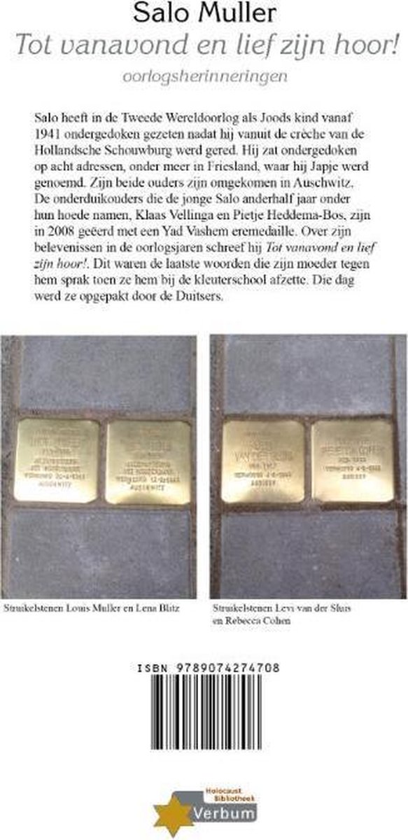 Twee struikelstenen in grijs beton met gouden plaquettes, in de grond geplaatst.