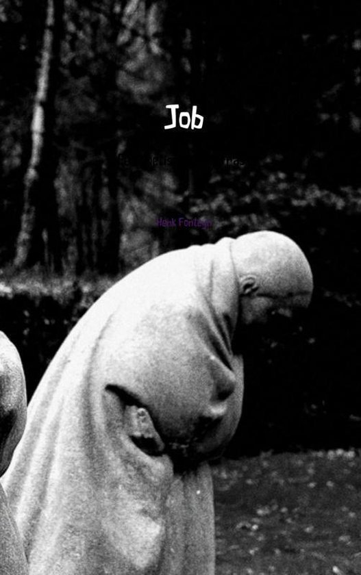 Cover van het boek 'Job'