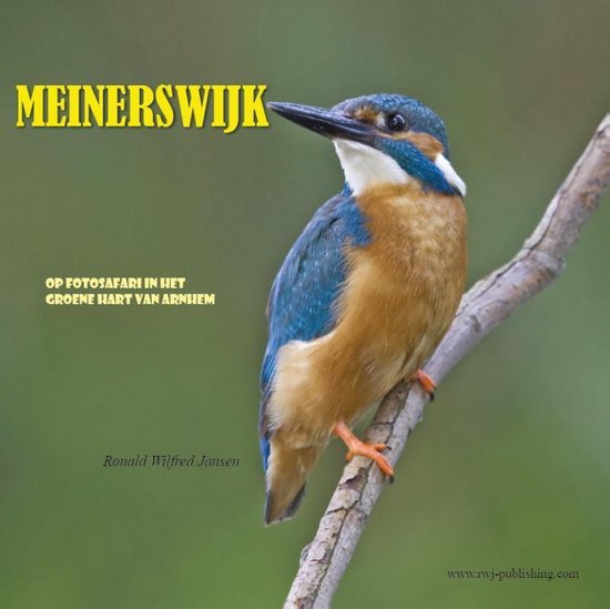 Cover van het boek 'Meinerswijk' van Ronald Wilfred Jansen