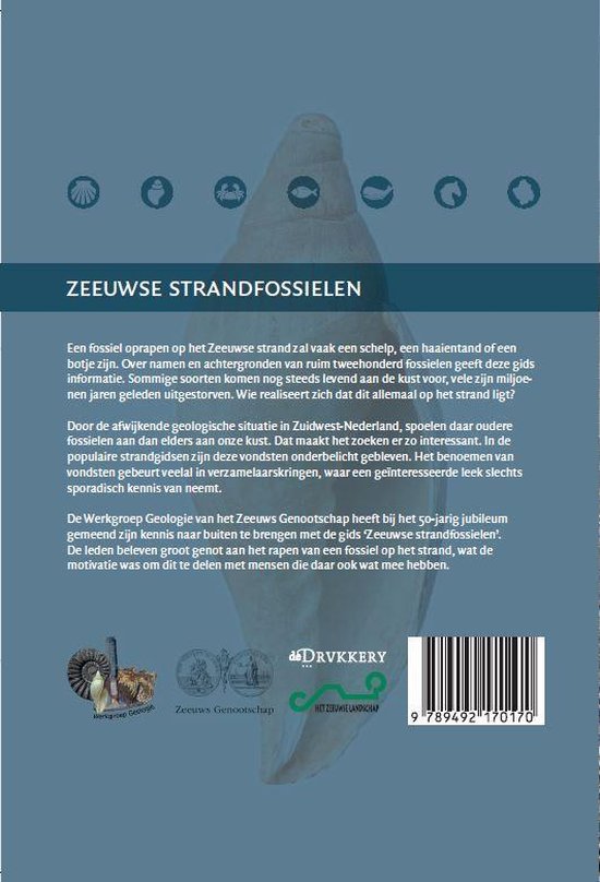 Zeeuwse strandfossielen
