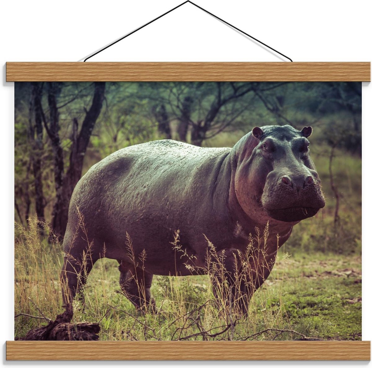 Schoolplaat – Neushoorn op het Gras - 40x30cm Foto op Textielposter (Wanddecoratie op Schoolplaat) op Prijzenvolger.com
