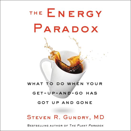 The Energy Paradox - cover