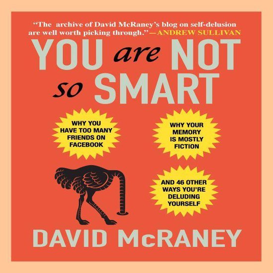 You Are Not So Smart - cover