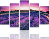 Schilderij , Lavendel Landschap , Paars roze ,4 maten , 5 luik , wanddecoratie , Premium print , XXL
