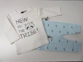 ensemble voor jongen , zero2three ,  wit met bleek blauw, wasbeer , 50 , 0-1 maand