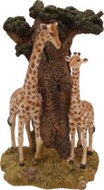 Waxinelichthouders bovenin boom | giraffe decoratie beeld met waxinelichthouder