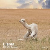 Llama