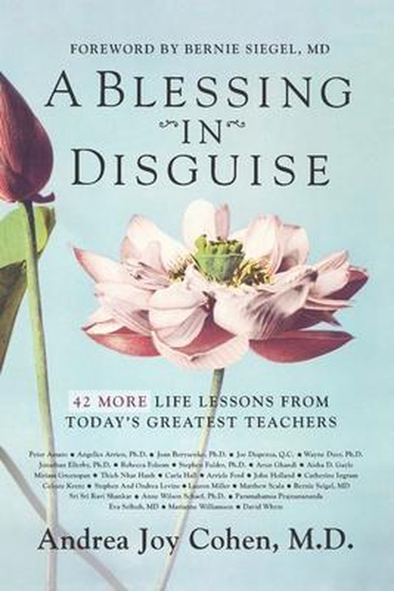 A Blessing In Disguise van Andrea Joy Cohen