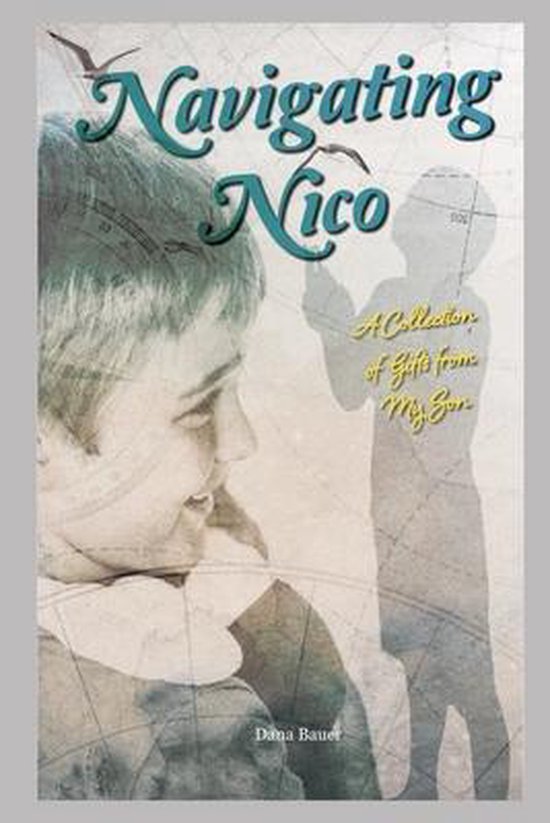 Navigating Nico - cover