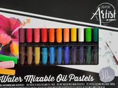 creative artist watermengbare oliepastels 30stuks / oliepastels