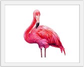 Foto in frame Getekende roze flamingo, 3 maten, Premium print