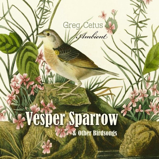 Vesper Sparrow and Other Bird Songs - cover