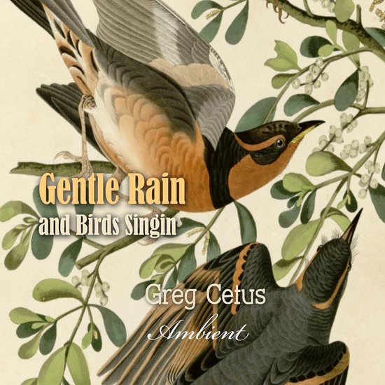 Gentle Rain and Birds Singing - cover