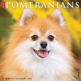 Pomeranian Kalender 2021