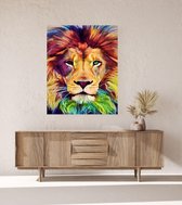 JDBOS ® Schilderen op nummer Volwassenen met frame (hout) - Gekleurde leeuw - Colorful lion - Verven volwassenen - 40x50 cm