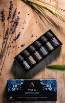 6 Huiles Essentielles - Aromathérapie - Gift Set - Convient pour Aroma Diffuser- Essential Oil Set - Huiles essentielles - Huiles essentielles - Huiles essentielles - Set économiques - # 1 Les meilleurs parfums du monde