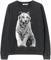 KIDS ONLY KONLUCINDA LIFE LS DROP TIGRLEO CS SWT Meisjes Trui - Maat 134140