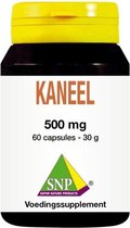 SNP Kaneel Cinnamomum verum 500 mg puur 60 vcaps