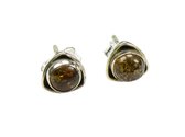 Zilveren knop oorbellen Amber / Barnsteen 925 zilver