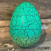 WDMT™ XXL groei-ei | 50 cm | Dinosaurus ei | Dino | groei-eieren