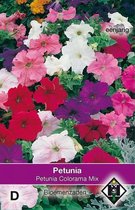 Van Hemert - Petunia Colorama Mix