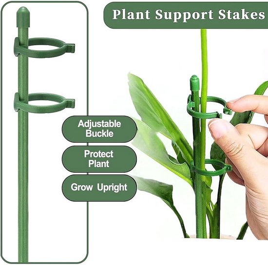 Plantensteun Set – 20 Stokken Van 30 Cm Met 20 Verstelbare Klemmen, Verlengbuizen En Binder, Voor Tomaten En Klimplanten