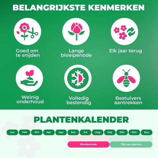 Iconen: 'Goed om te snijden', 'Lange bloeiperiode', 'Elk jaar terug', 'Weinig onderhoud', 'Volledig bestendig', 'Bestuivers aantrekken'.