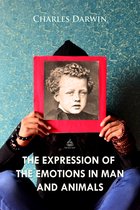 E-book