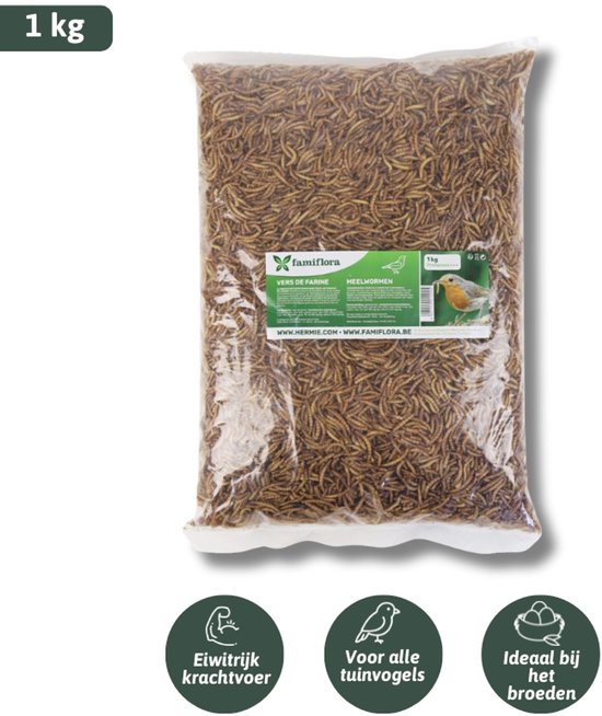 Famiflora gedroogde meelwormen 1 kg = ± 6L in zak - voor tuinvogels - Hoogwaardige eiwitten stimuleren gezondheid en vitaliteit van vogels